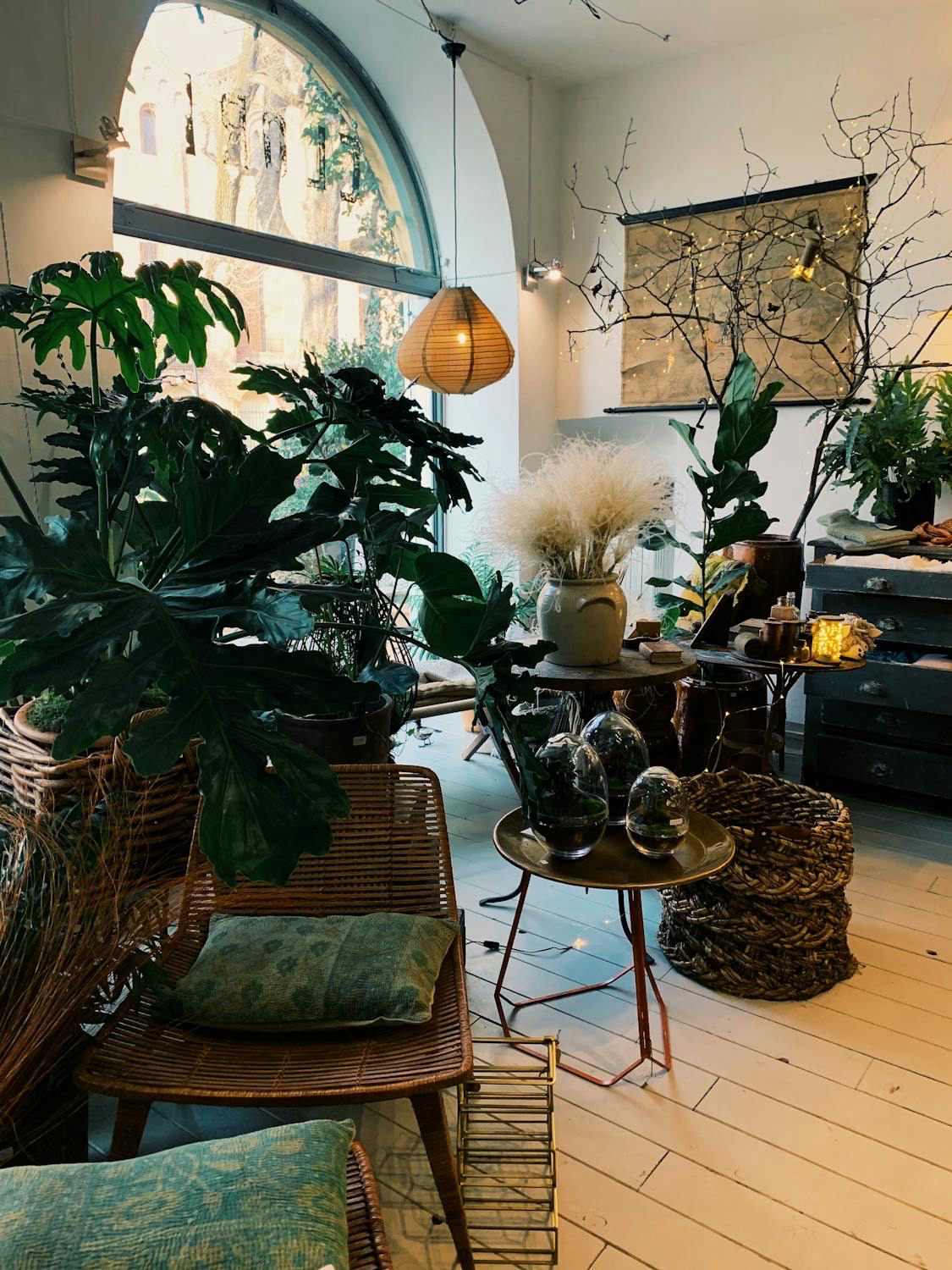 Minimalist greenery interior symbolizing a calm and inclusive healing space